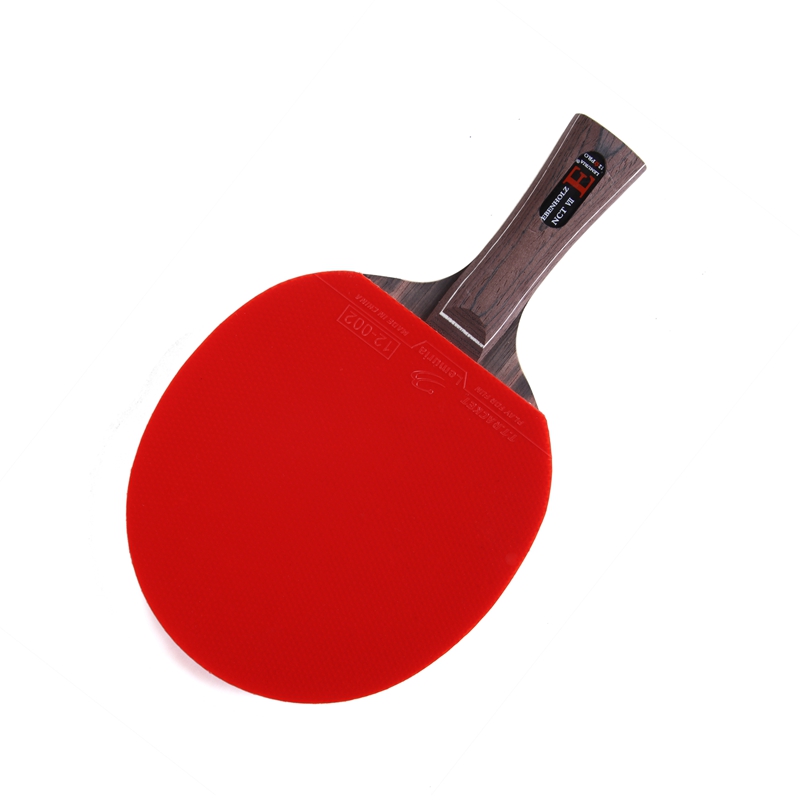 Lemuria EBENHOLZ-Table Tennis  - Table Tennis Review review and price