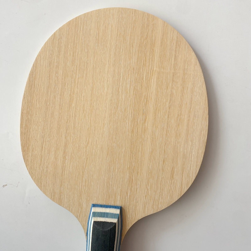 Lemuria VIS Carbon Fiber Table - Table Tennis Review review and price